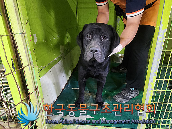 종료(반환) 라브라…